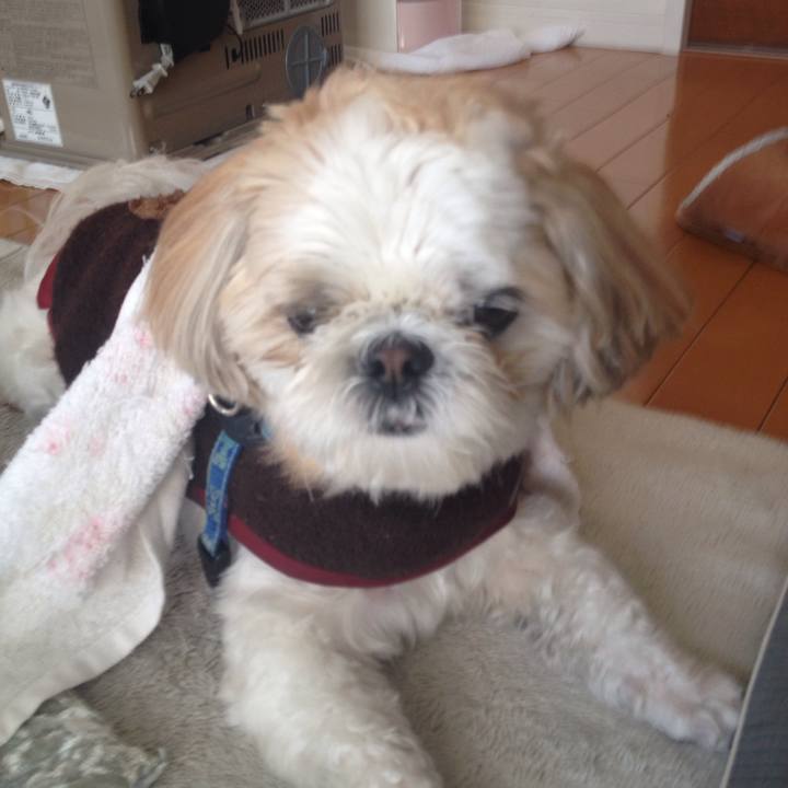 16cf4a79 b488 4fa6 9dc7 32f57094db74