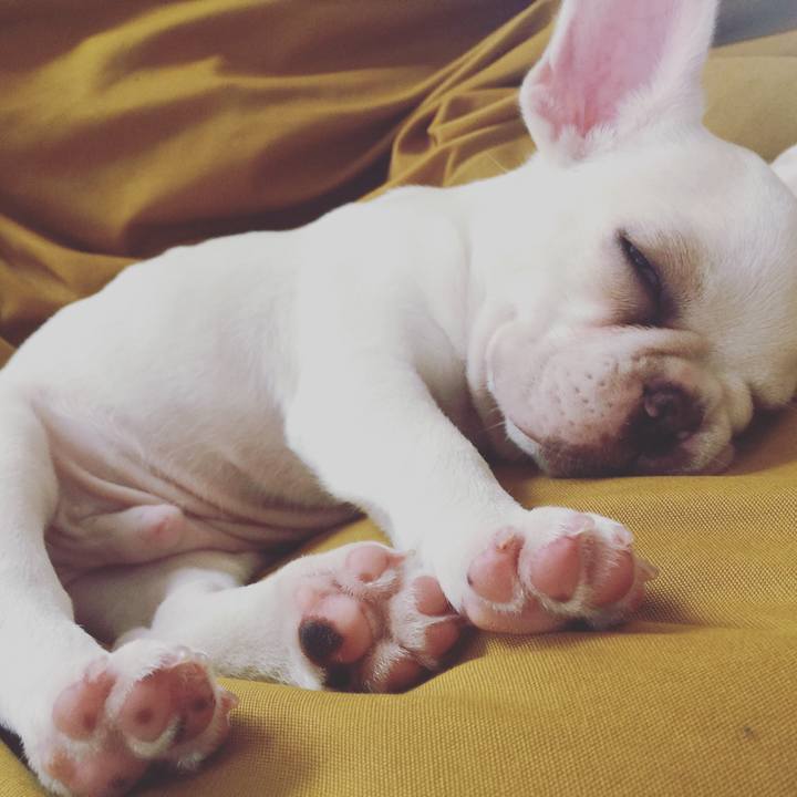 16cf5501 837e 4867 85a6 360a99e4373a