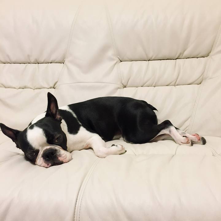 16cfe95e 9c6b 4593 b5af 06c712340627