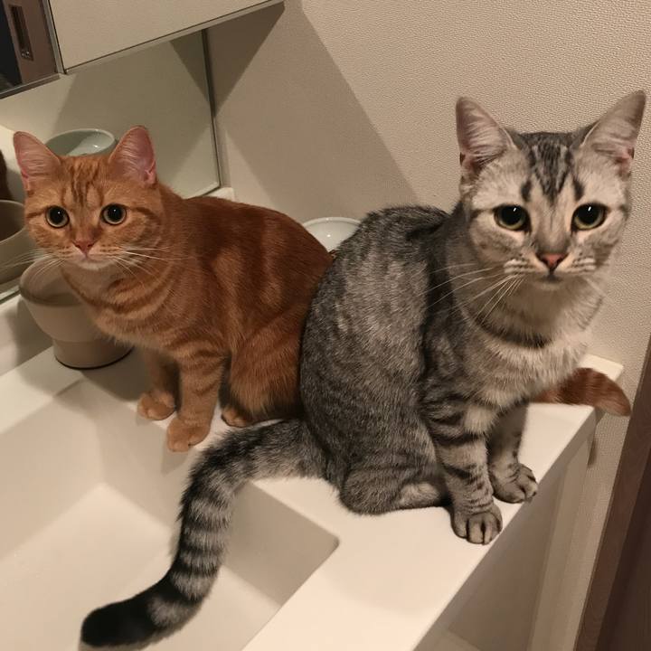 16cfff46 91e7 41f6 9ef0 323a2b27de05