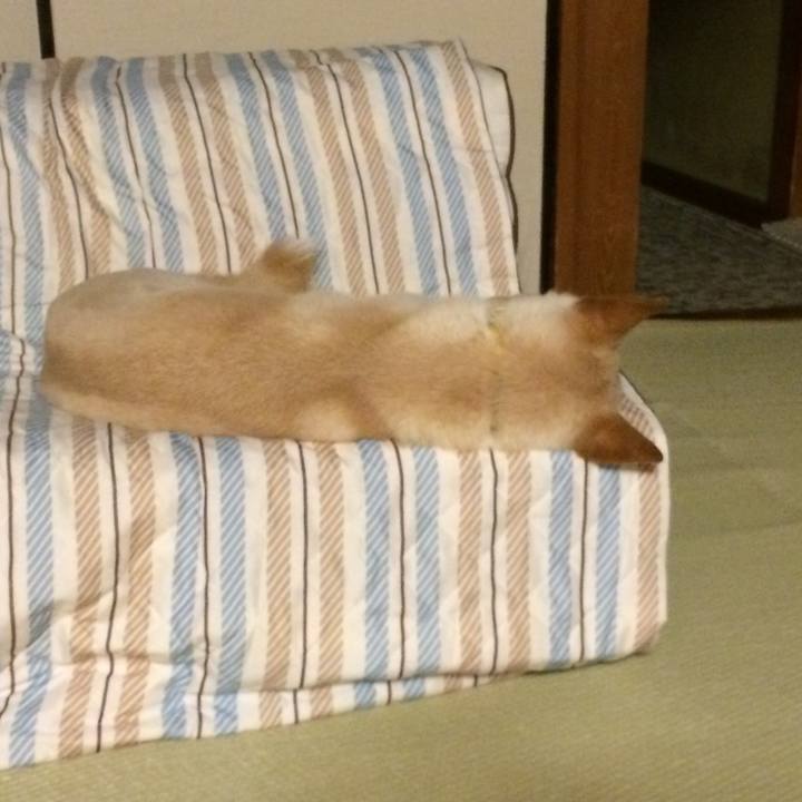 16d07481 0546 4622 8654 903627d23fef