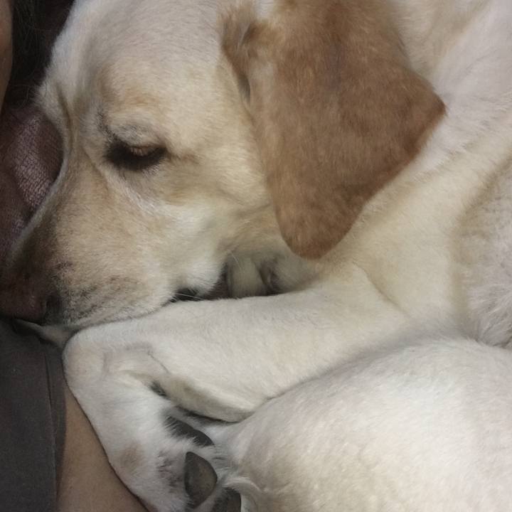 16d07b2a 1952 49cd addf cf2667d3e75d