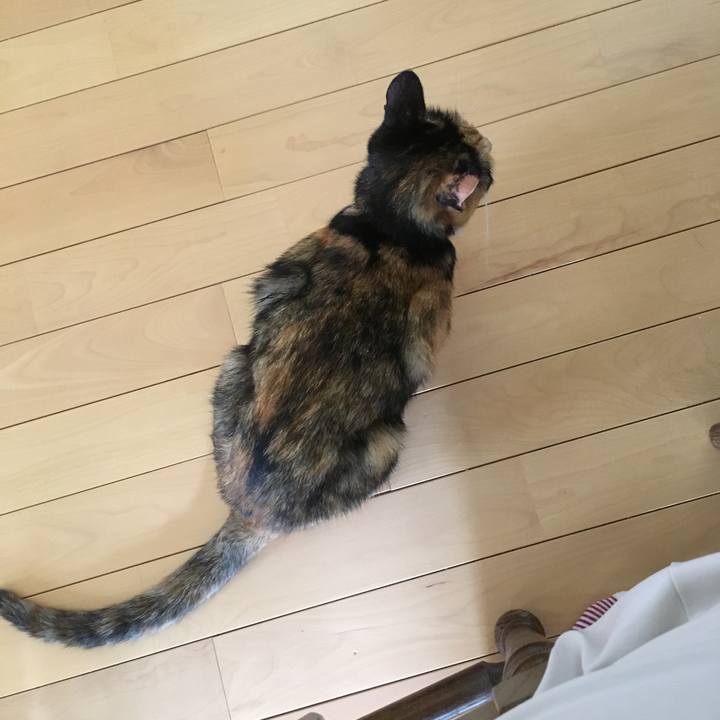 16d0fce9 df90 4cd7 81cd b3db057d4325