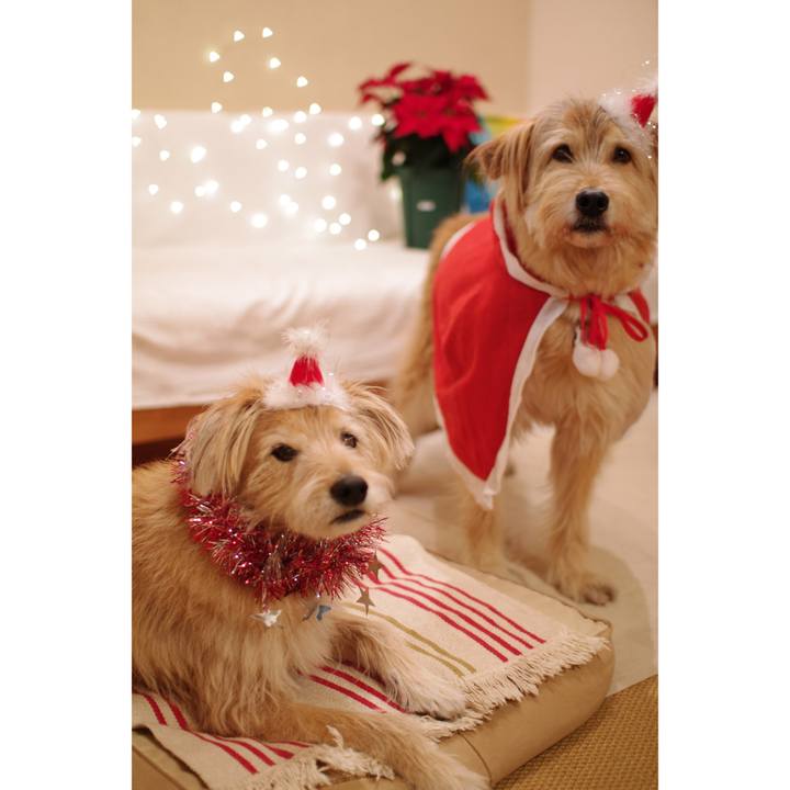 16d1b59a e56b 4d4e bd79 5a8f82b83ef3