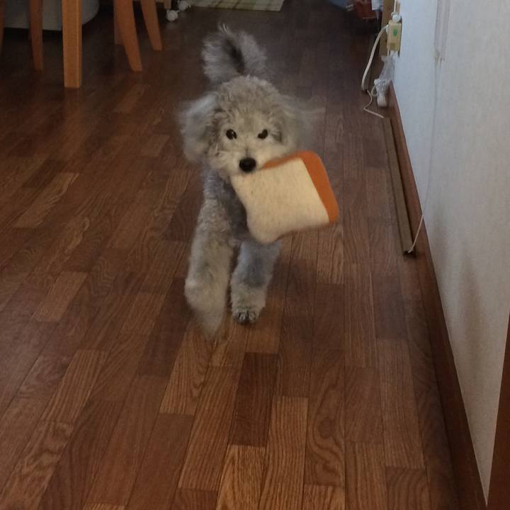 16d225fb 8fb9 4807 80e5 2e2cefcd94de