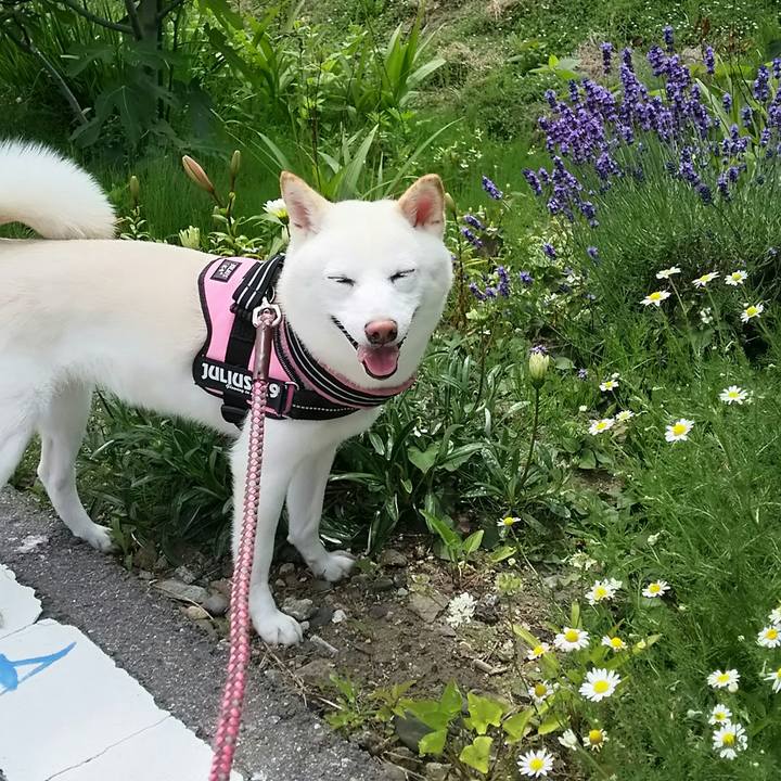 16d229f3 422e 47cd 89fd 71a3e8ffc08c