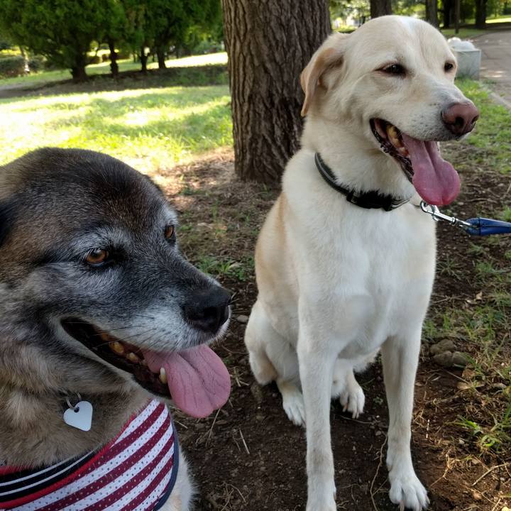 16d2371b 2d3e 4cf5 acd8 972610c08d5d