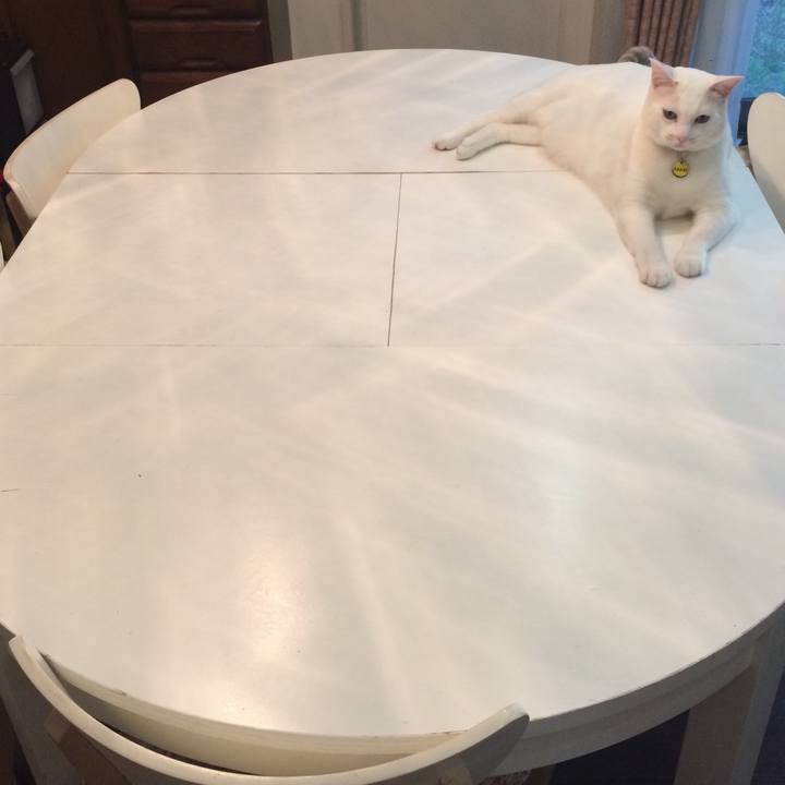 16d2870f b55b 4f63 9303 0e5d091116c4