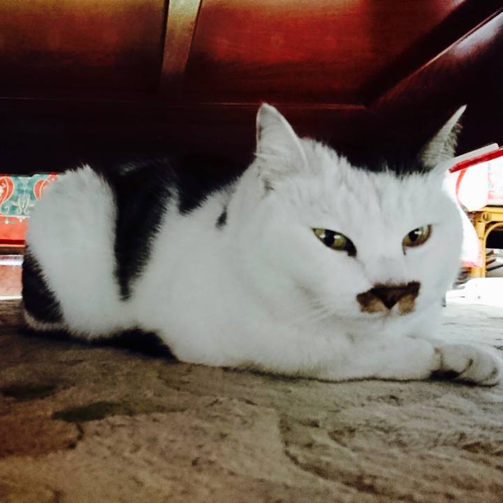 16d29cee d239 49d8 9cec f89d98f9ba8d