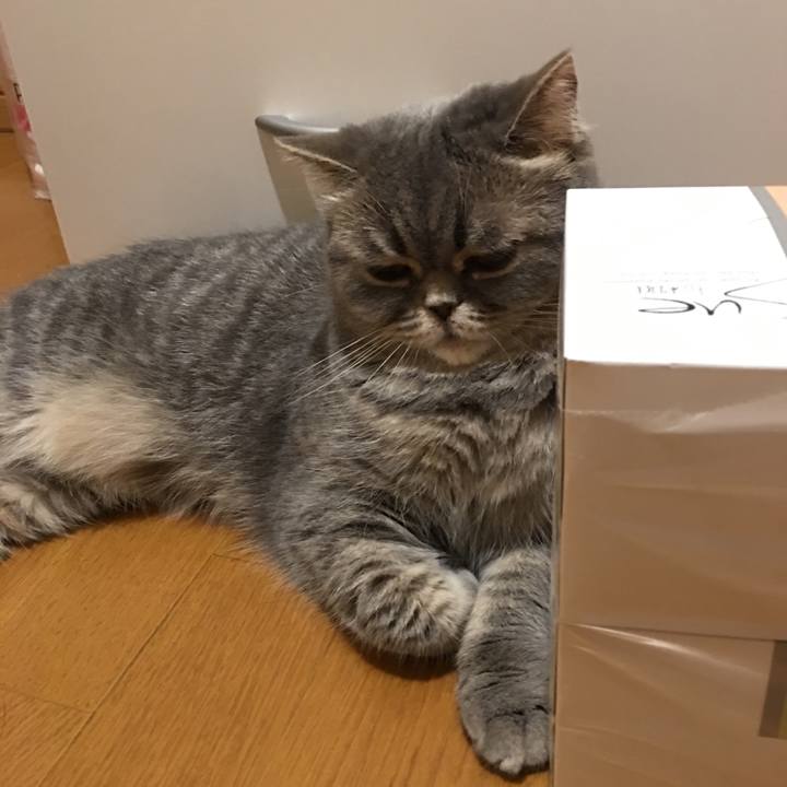 16d2f6da 2e40 414a 919e c04409b50fee