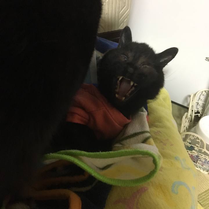 16d377ec c253 4b88 a69f 4603aa157e89