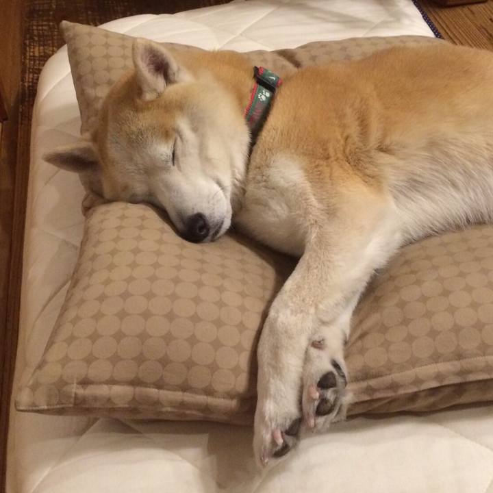 16d3d260 6f71 4ed7 a0ad 2d3ad3d46044