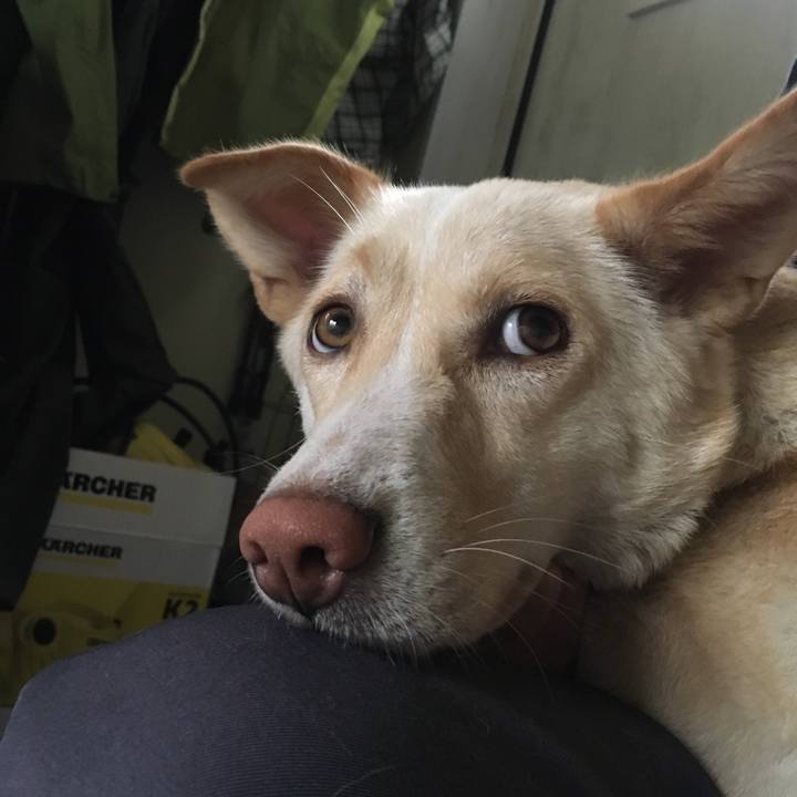 16d49720 f466 40c7 87b1 54704d498e49