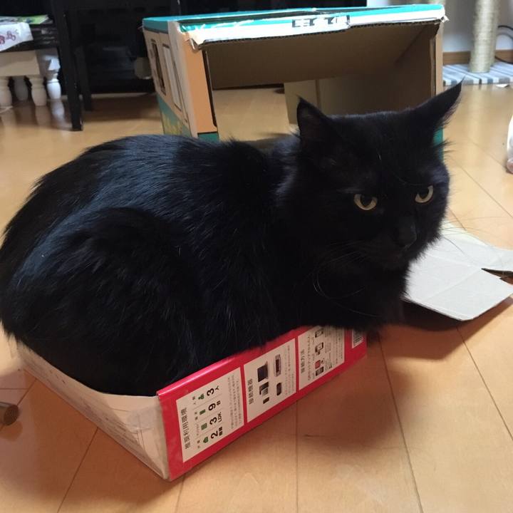 16d53032 4d2d 4da4 a451 4726ed892a79