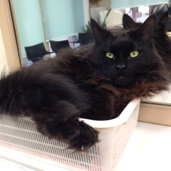 16d5729a a12a 4a32 9d17 8fc1ab2e204e