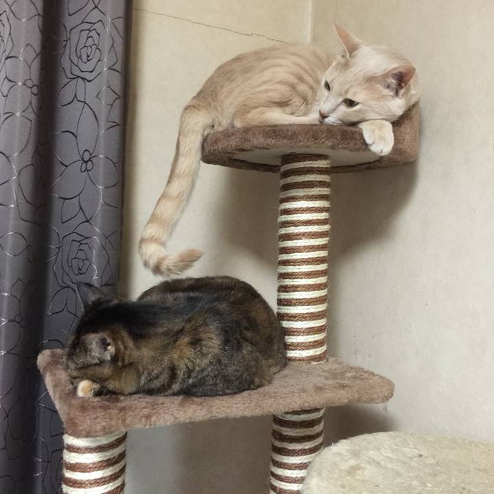 16d5e3ff e967 4992 bf15 d49cbc25730b