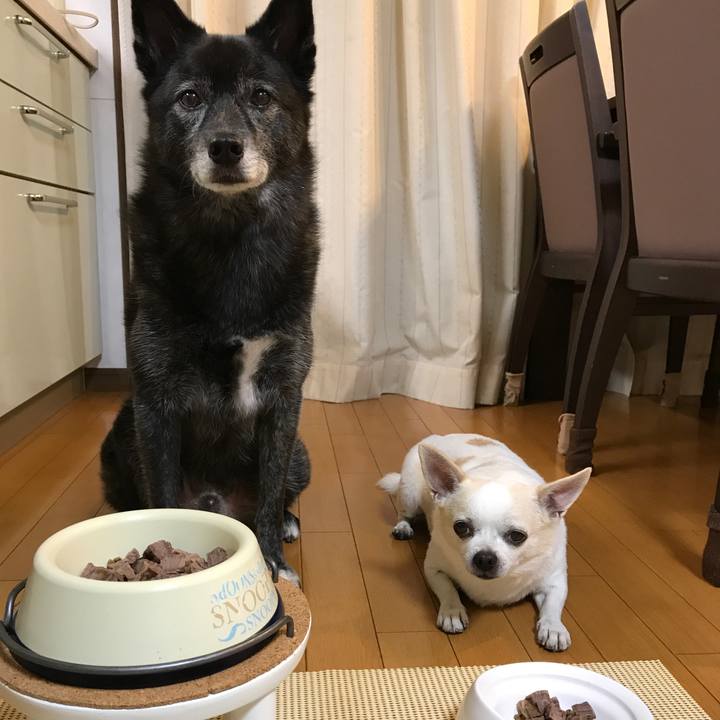 16d6415e 41c1 44c5 a85e e2f094cf87de