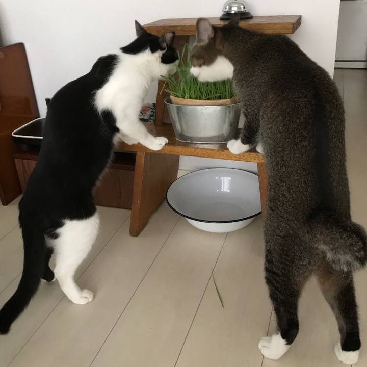 16d70e80 a289 4678 bde3 692d7d80a1b7