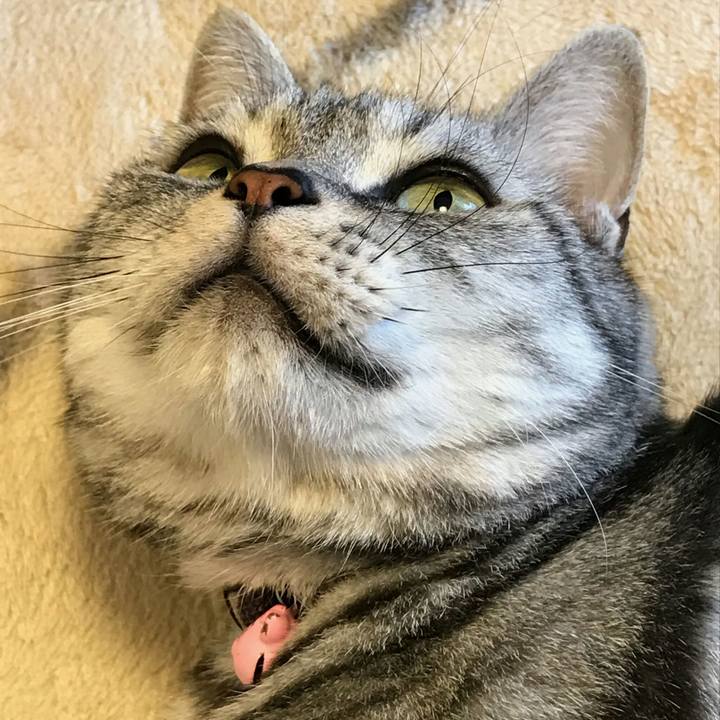 16d71012 345f 4e69 87b2 082ef2787510