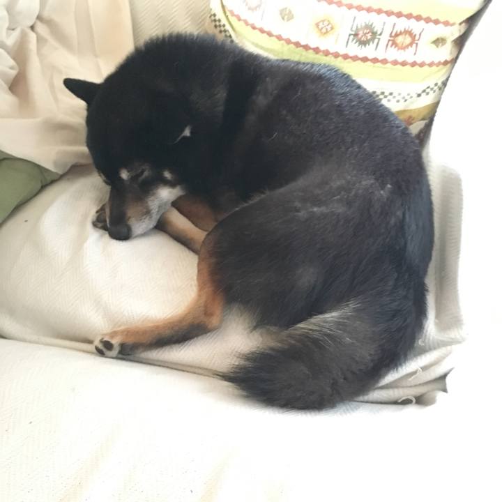 16d785a5 a25a 4d32 9bdf 08fd98c999fe