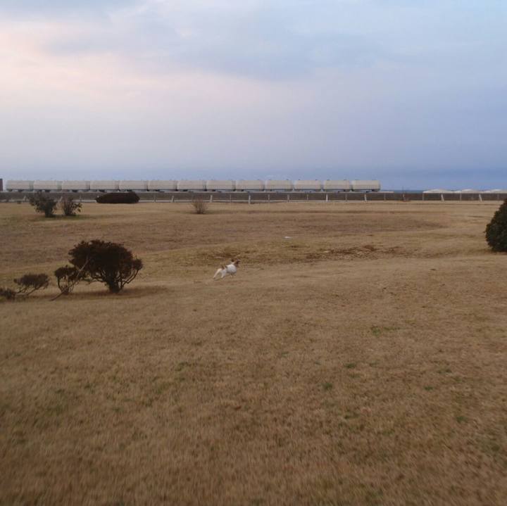 16d82049 0376 462b 9acf 03b1560b9481