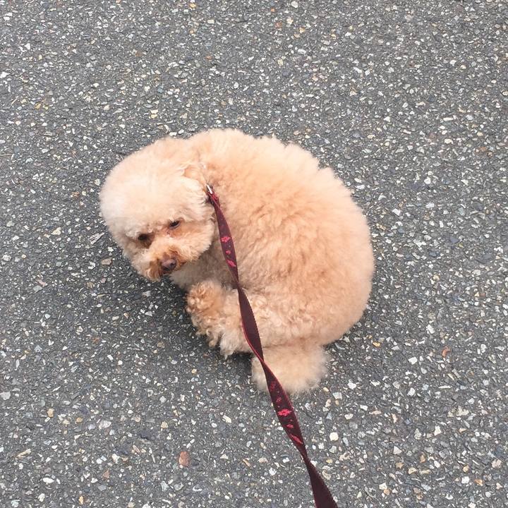 16d8394b 26c5 4955 9f7f 690501018594