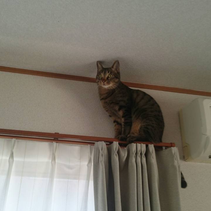 16d861bb 350a 436e 89aa b971ba0c888b