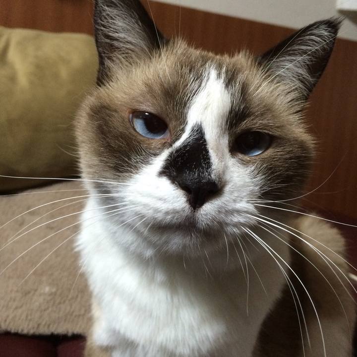 16d88ee6 bf4a 48f5 844f 4e7cb8f71544