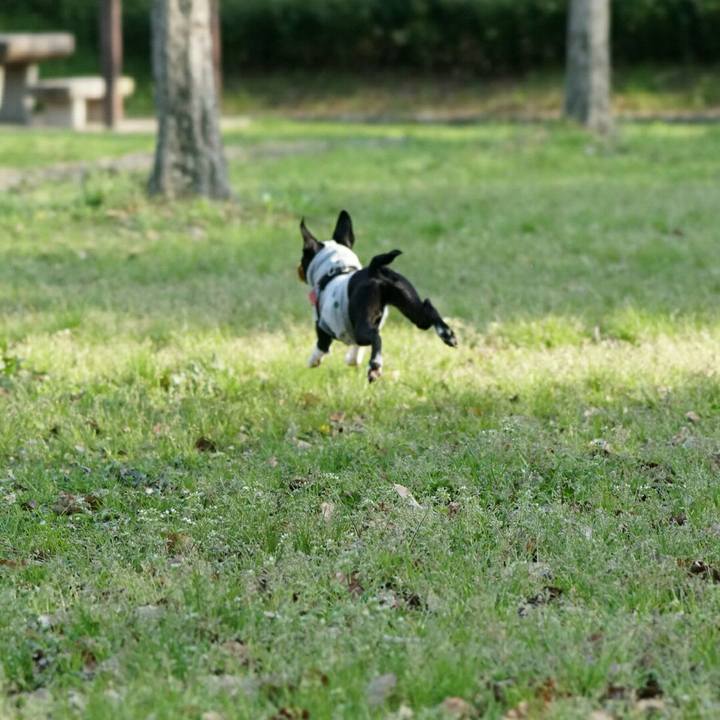 16d8e45b 06da 4d5d 8446 e2481222e01b