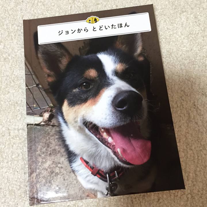 16d92333 1f29 4794 ae4b 3e4de36c92ac