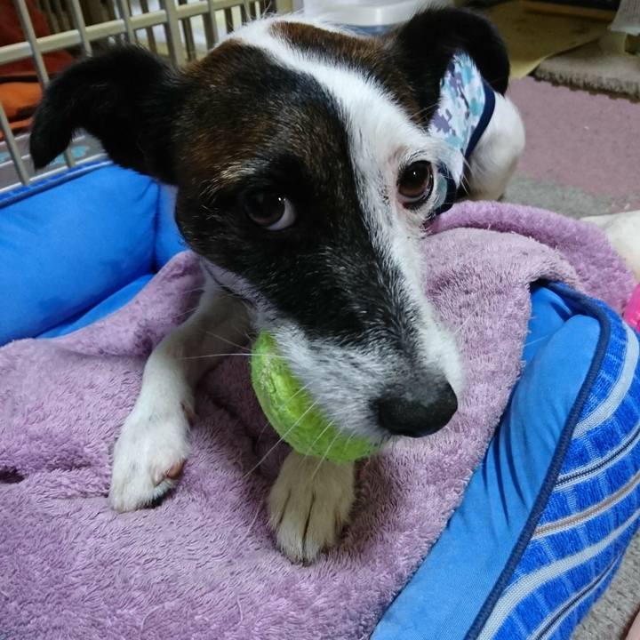 16d99ee5 9fd8 417f a34d b00fddd00665