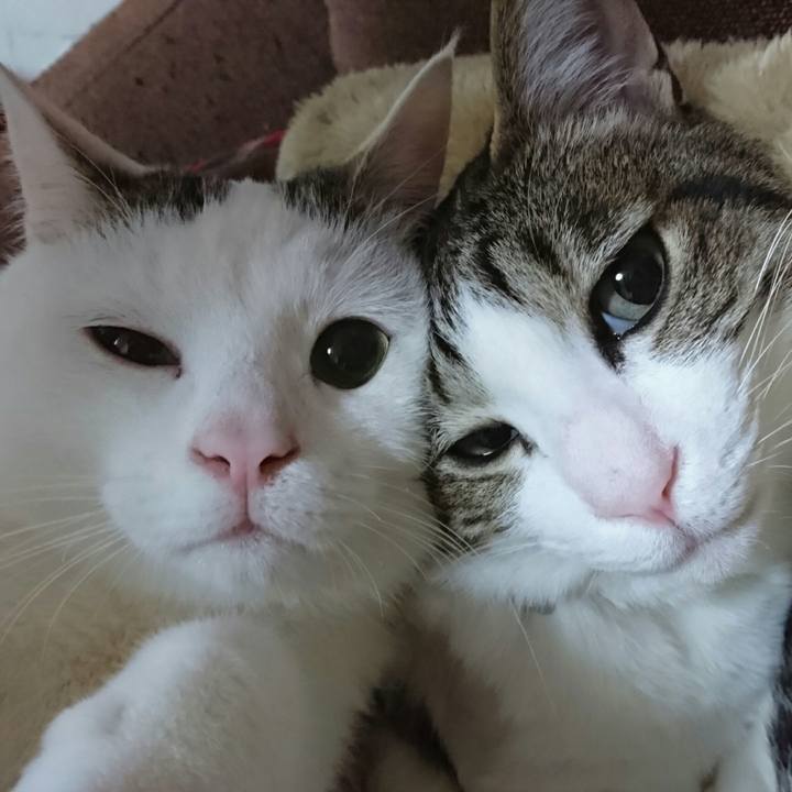 16da5c74 3893 4101 89cc 801e0c8e5cef