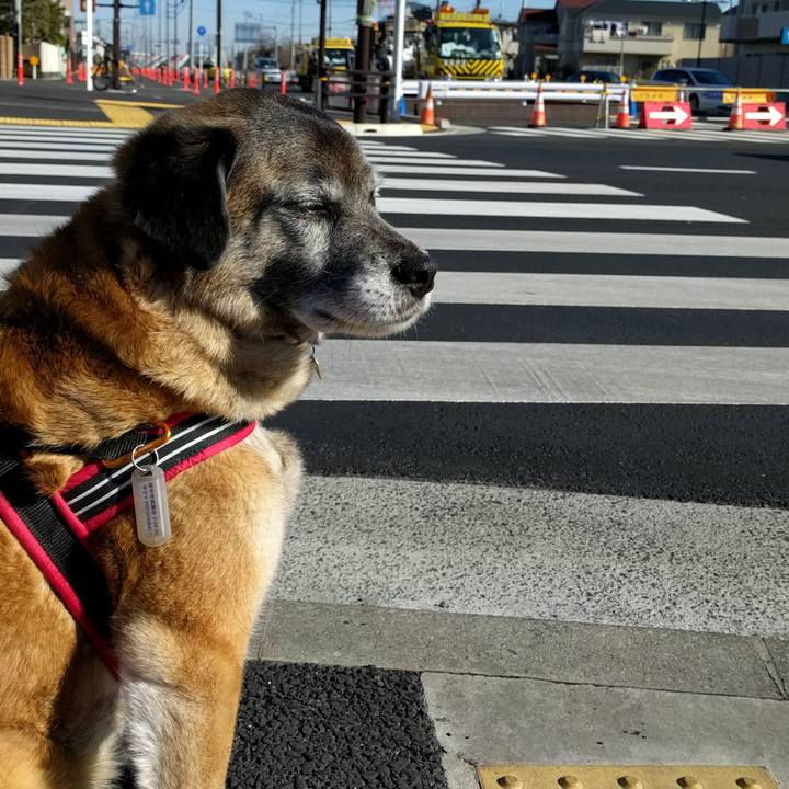 16da778d b6fa 41df 8dd1 693cf08789c5