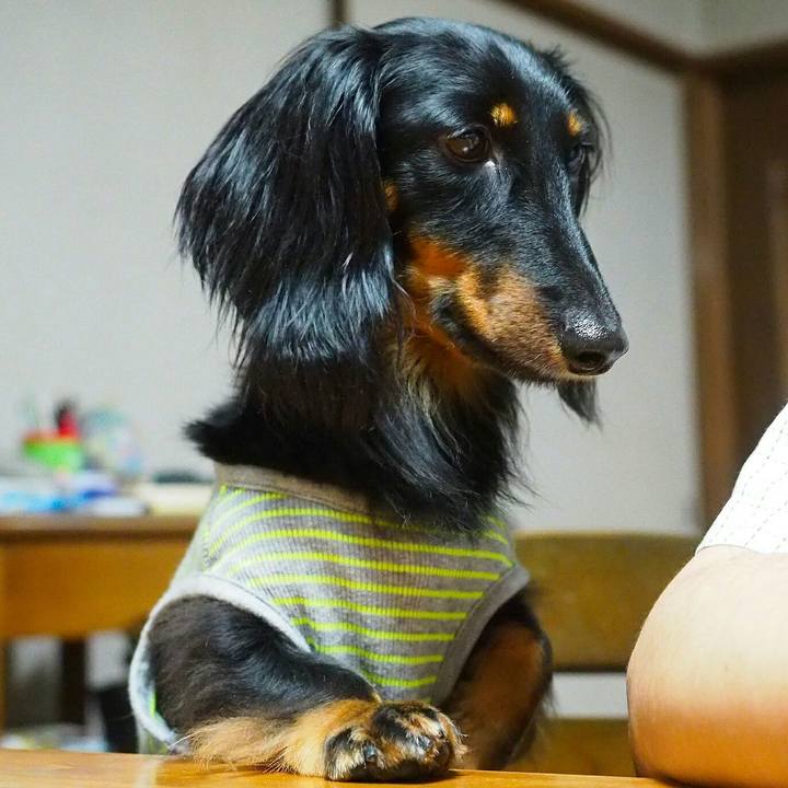 16da84d6 87d3 45aa b697 a60bd4f6e9fd