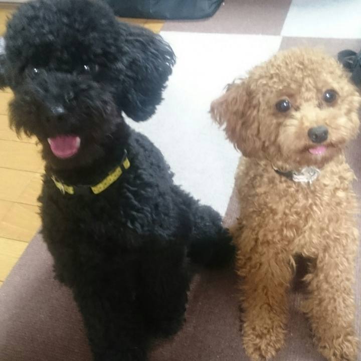 16db8aa5 3697 417e 97f4 7e42df485900