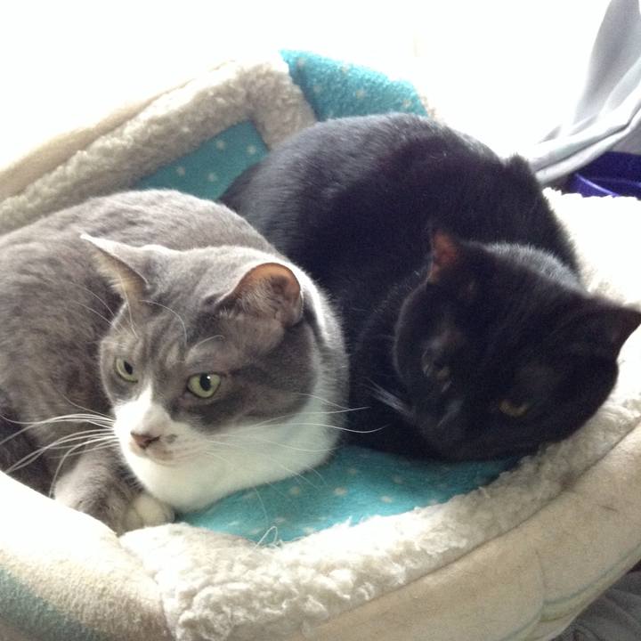 16db9153 bb0a 4549 ba09 55aa2e99eb44