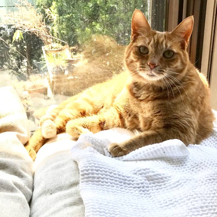 16dc0dba 4624 4b62 8891 970964016e8a