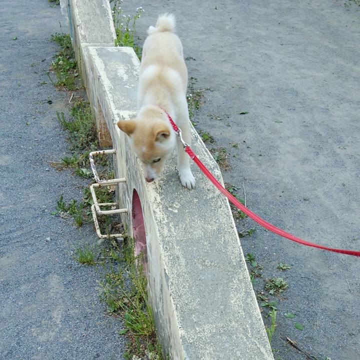 16dc6b09 6fa7 405f b274 138959ae2778