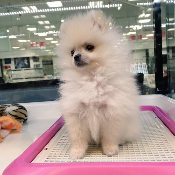 16dc8363 2770 408b bf8d 8cc4fa68e7ae