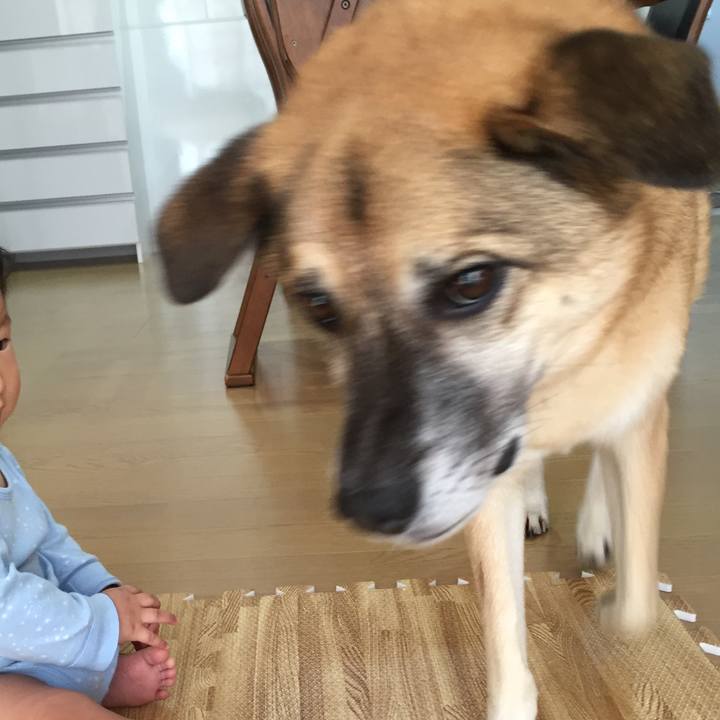 16dcfe51 05b8 4c14 808f 9697e5440971