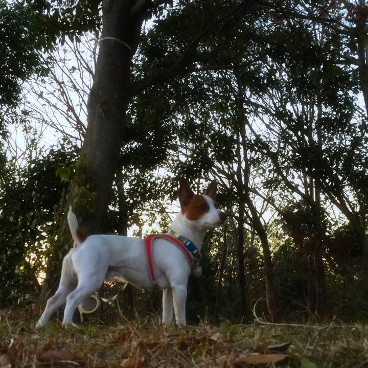 16dd53e1 b36a 47a4 aa0f 1801c22edb65