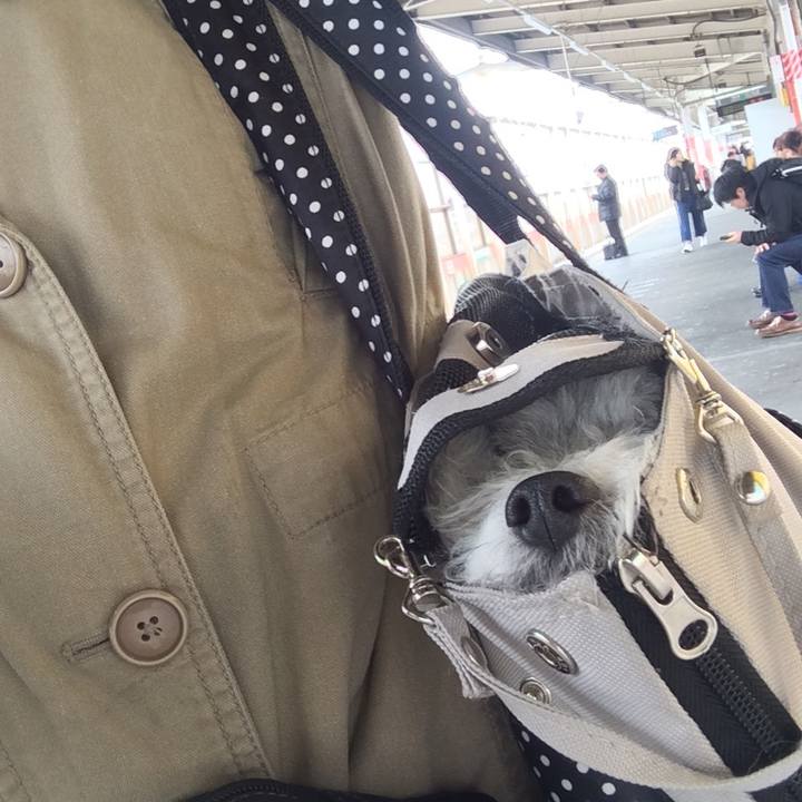 16dd99c2 a7de 42b6 9e49 acce4a1c1f9c