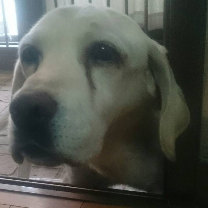 16ddabe2 8c7e 4dcc 9486 bcb7337640fb