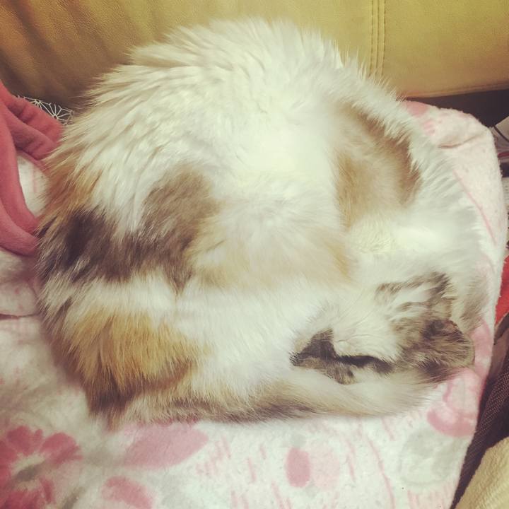 16de2175 bc06 4d57 b5c5 57987a3ed335