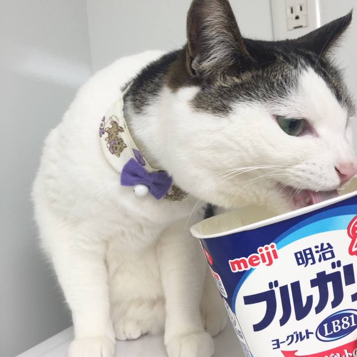 16de4bff 3e26 4231 9e81 4de3226ca3dc