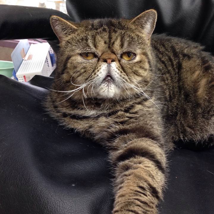 16de552c a9a6 493c bf43 04fc2aec0dd6