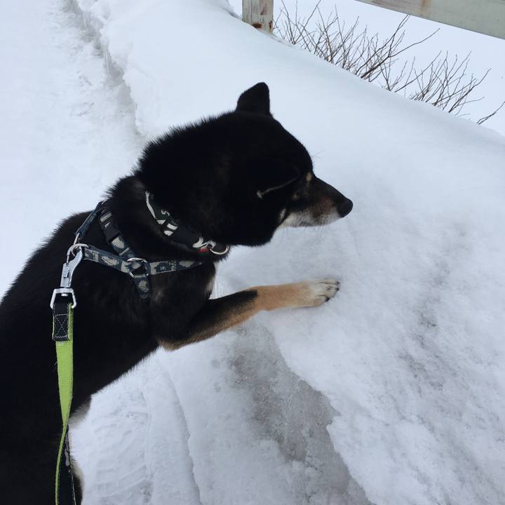 16deb878 418d 4349 99e9 d78c3de1ecdb