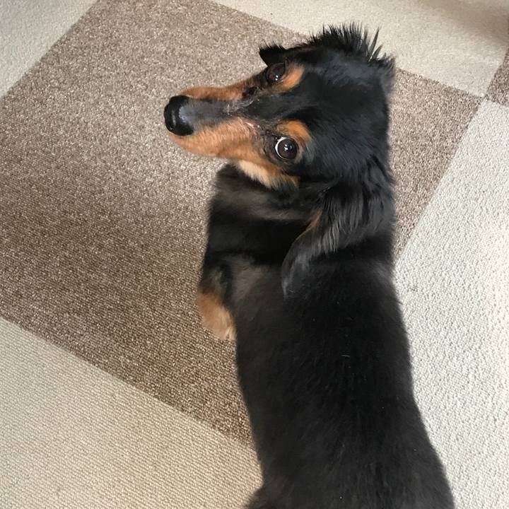 16deb989 0362 4364 b0b4 da57f486bcaa