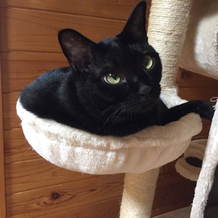 16deead4 326e 4ebc b96f f91eb835c573