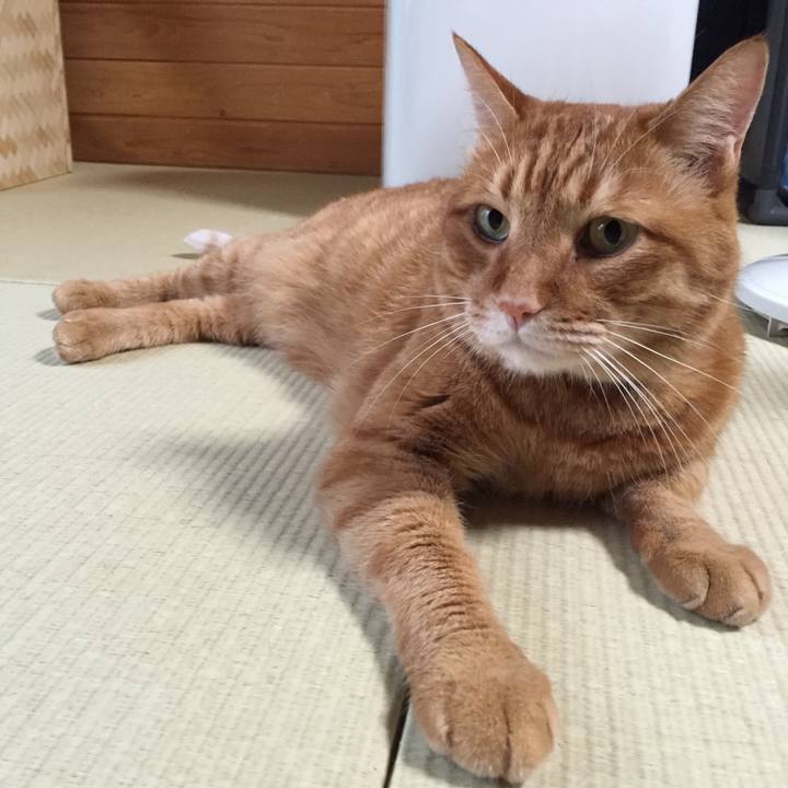 16deeba7 4cd3 4c64 a893 dfcbd6cb1019